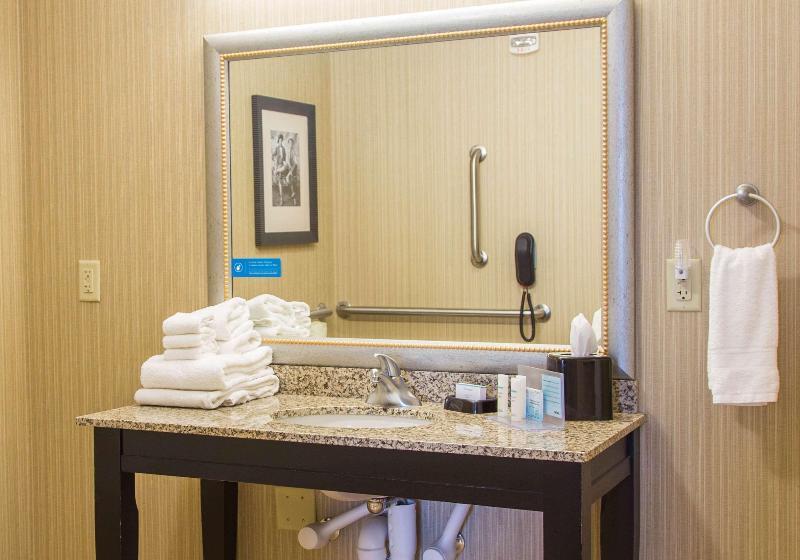 Студио Стандарт Кровать Кинг, Hampton Inn & Suites Dodge City