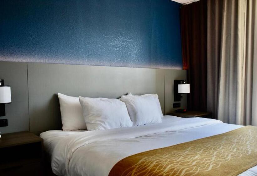 带大床的标准间, Comfort Inn & Suites Calhoun South