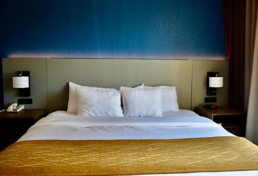 キングサイズベッドのスタンダードルーム, Comfort Inn & Suites Calhoun South