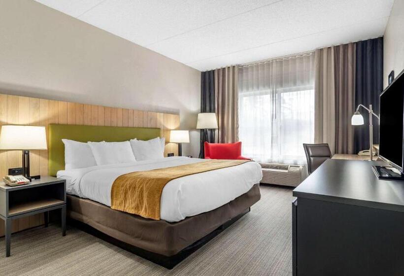 キングサイズベッドのスタンダードルーム, Comfort Inn & Suites Calhoun South