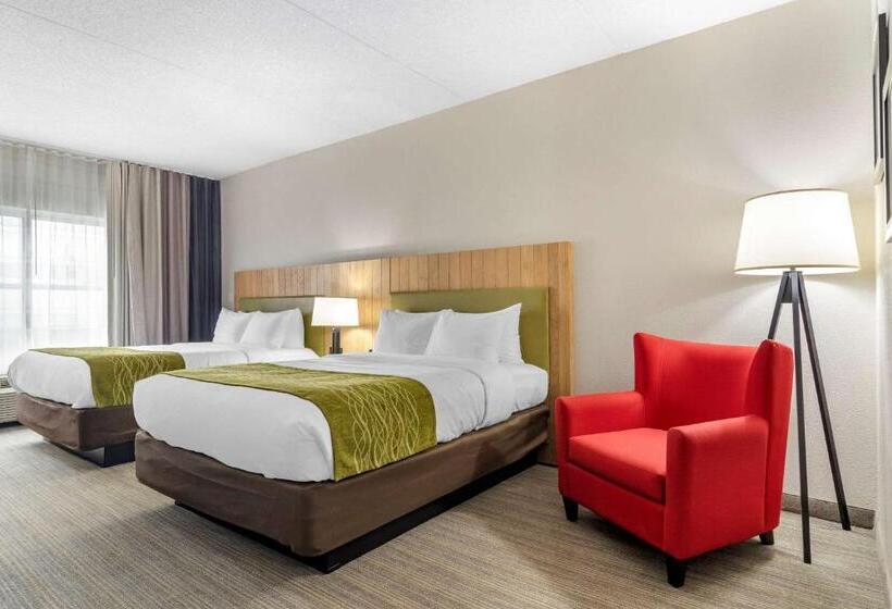 スタンダードルーム, Comfort Inn & Suites Calhoun South