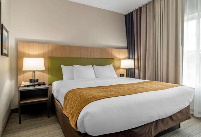 キングサイズベッドのスイートルーム, Comfort Inn & Suites Calhoun South