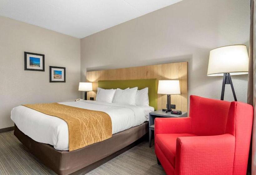 身障者適用キングサイズベッドルーム, Comfort Inn & Suites Calhoun South