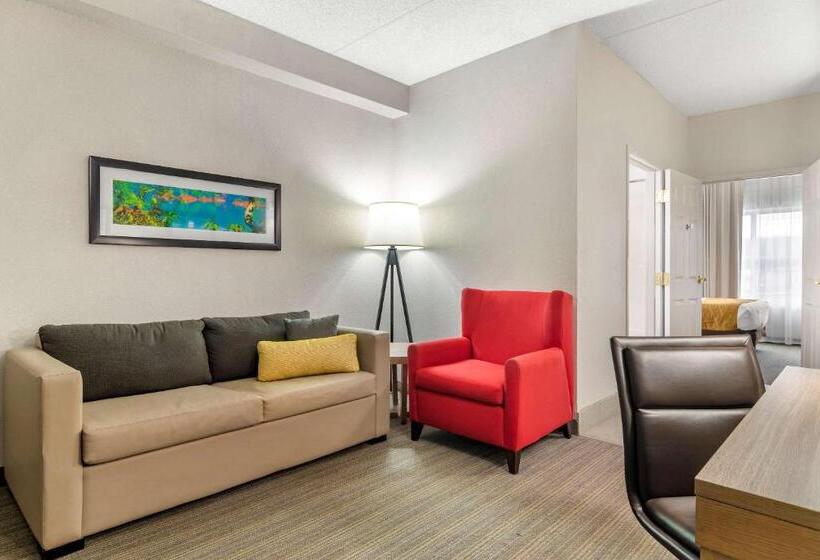 身障者適用スイートルーム, Comfort Inn & Suites Calhoun South