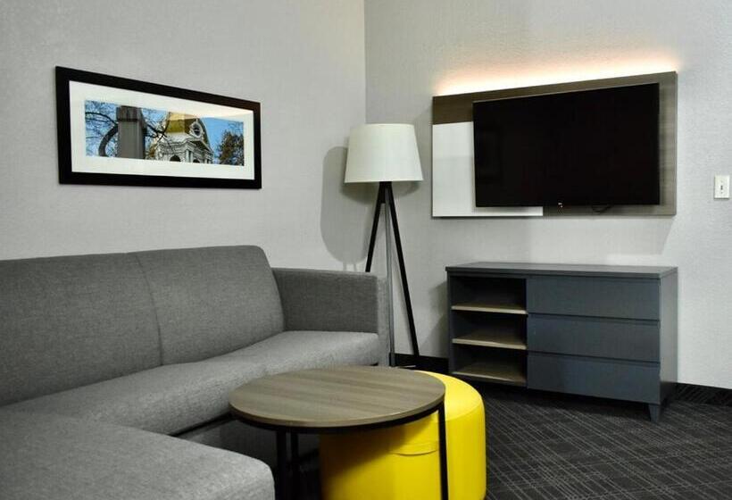 身障者適用スイートルーム, Comfort Inn & Suites Calhoun South