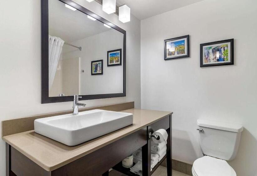 スイート, Comfort Inn & Suites Calhoun South