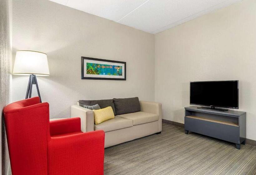 スイート, Comfort Inn & Suites Calhoun South