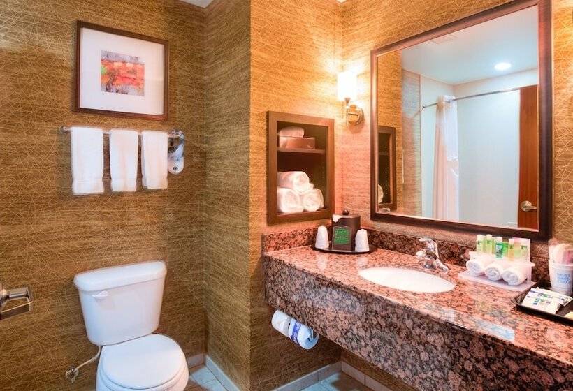 Люкс Адаптированный для Инвалидов, Holiday Inn Express Hotel And Suites Elk City, An Ihg