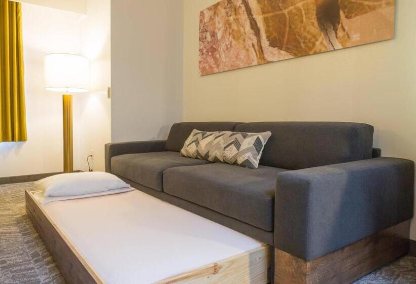 带大床的标准工作室, Springhill Suites Quakertown Pennsylvania
