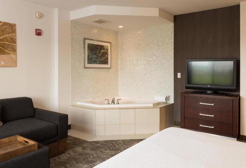 标准工作室, Springhill Suites Quakertown Pennsylvania