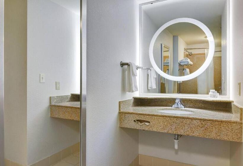Студио Стандарт Кровать Кинг, Springhill Suites Shreveportbossier City/louisiana Downs