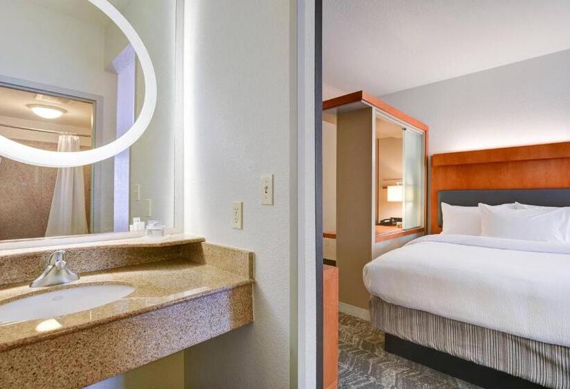 Студио Стандарт Кровать Кинг, Springhill Suites Shreveportbossier City/louisiana Downs