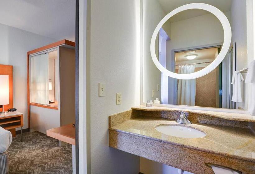 Студия Стандарт, Springhill Suites Shreveportbossier City/louisiana Downs