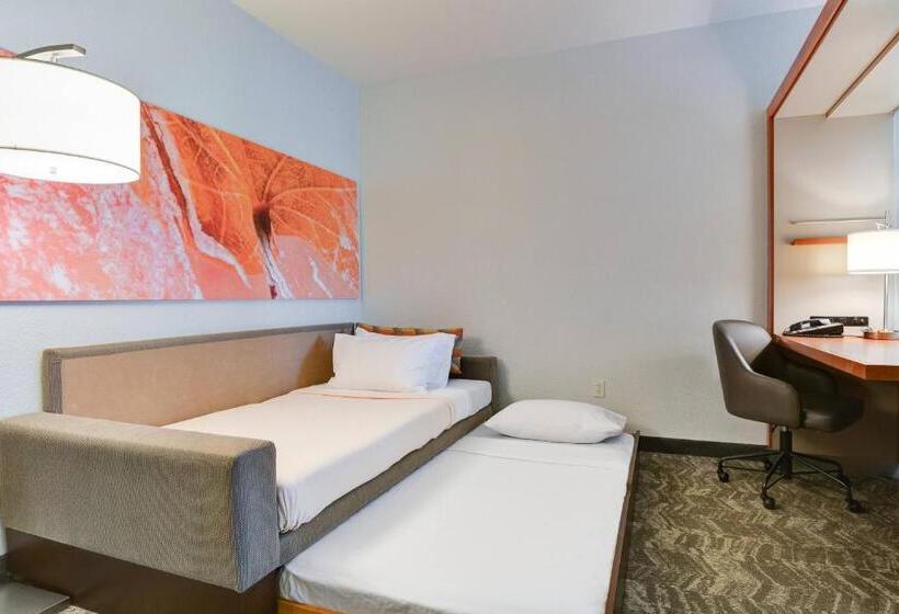 Студия Стандарт, Springhill Suites Shreveportbossier City/louisiana Downs