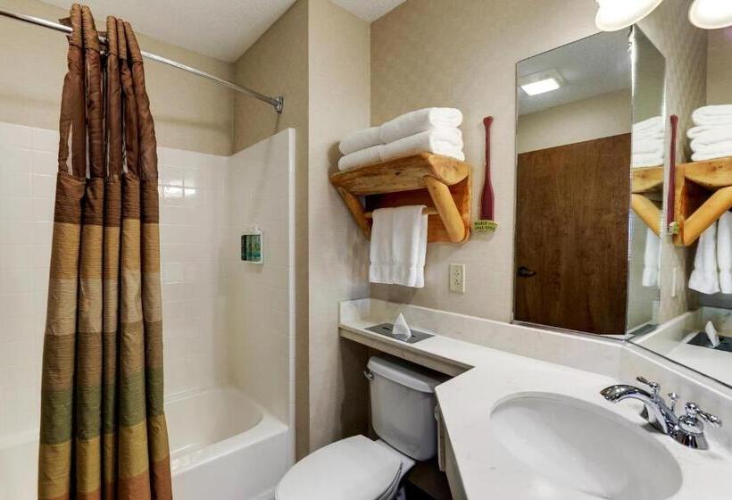 Deluxe Szoba Kind Size Bed, Stoney Creek Hotel Moline