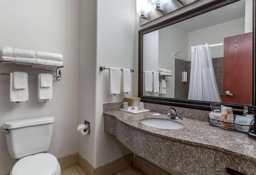 Стандартный Номер Кровать Кинг, Clarion Pointe Sulphur  Lake Charles