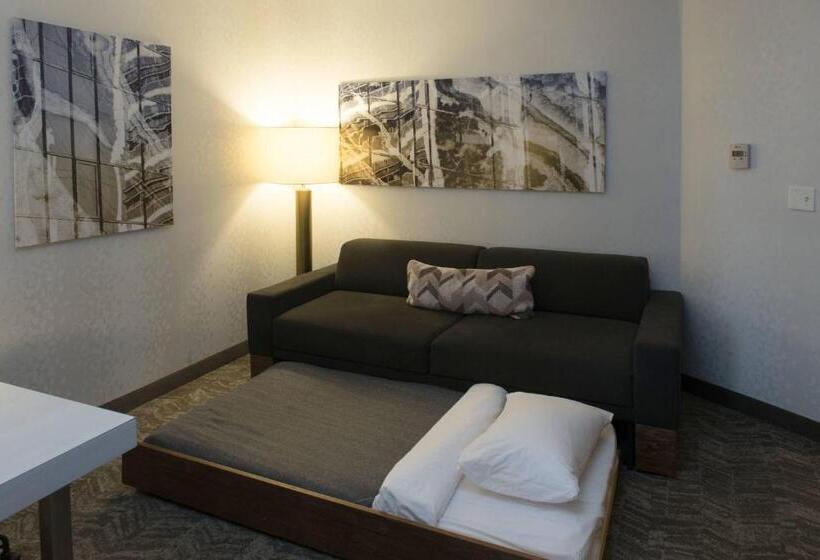 Студио Стандарт Кровать Кинг, Springhill Suites By Marriott Logan