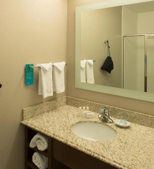 סוויטה מותאמת לאדם עם מוגבלויות, Springhill Suites By Marriott Logan