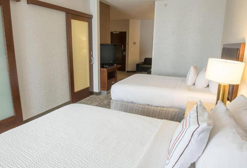 Люкс Адаптированный для Инвалидов, Springhill Suites By Marriott Logan