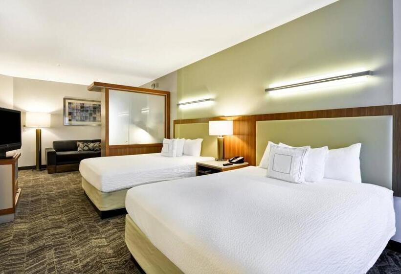标准工作室, Springhill Suites Tallahassee Central