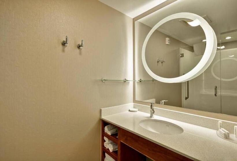 带大床的标准工作室, Springhill Suites Tallahassee Central