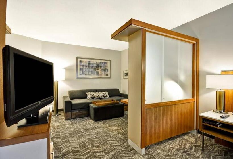 带大床的标准工作室, Springhill Suites Tallahassee Central