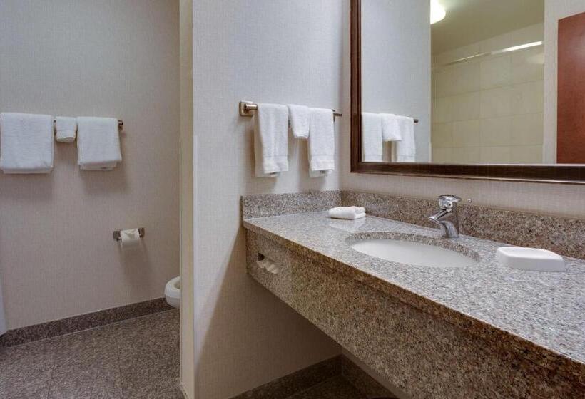 豪华房间, Drury Inn & Suites Baton Rouge