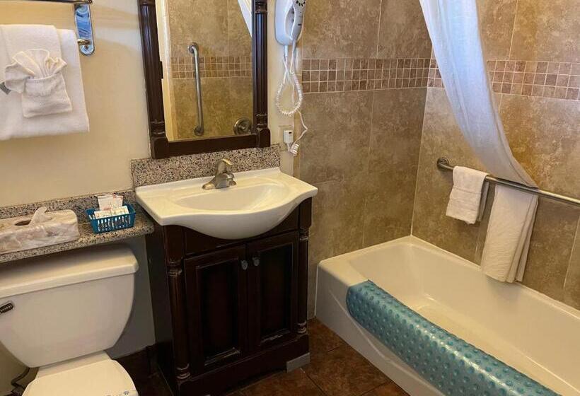 스탠다드 룸, Riverside Inn & Suites Santa Cruz