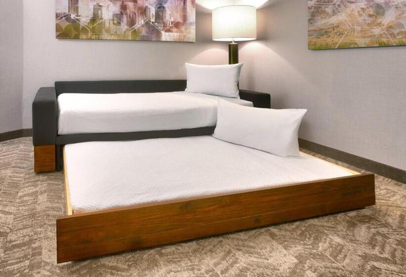Люкс Кровать Кинг, Springhill Suites By Marriott Salt Lake City Draper