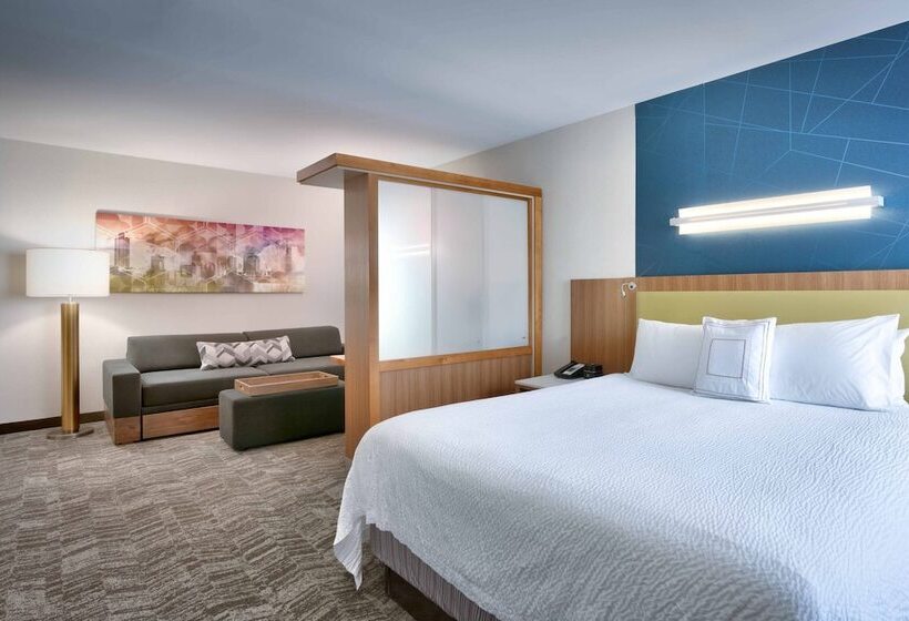 Люкс Адаптированный для Инвалидов, Springhill Suites By Marriott Salt Lake City Draper