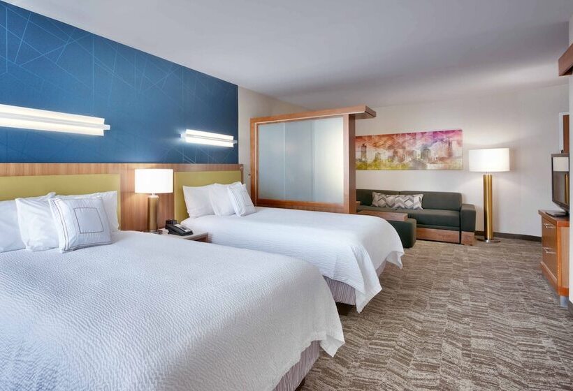 Люкс Адаптированный для Инвалидов, Springhill Suites By Marriott Salt Lake City Draper