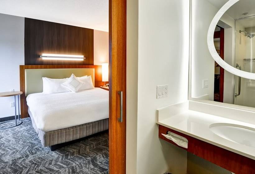 스탠다드 스튜디오, Springhill Suites By Marriott Columbia Fort Meade Area