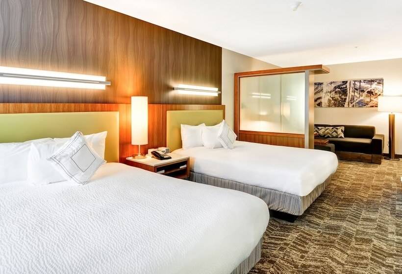스탠다드 스튜디오, Springhill Suites By Marriott Columbia Fort Meade Area