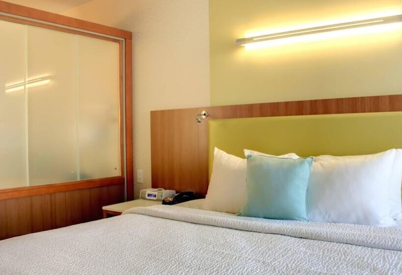 스위트, Springhill Suites By Marriott Scranton Montage Mountain