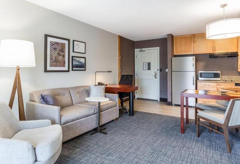 带大床的标准工作室, Residence Inn Duluth