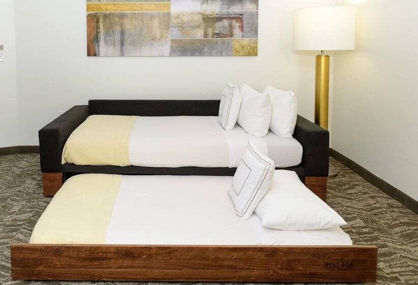 Студия Стандарт, Springhill Suites Houston Nasa/seabrook