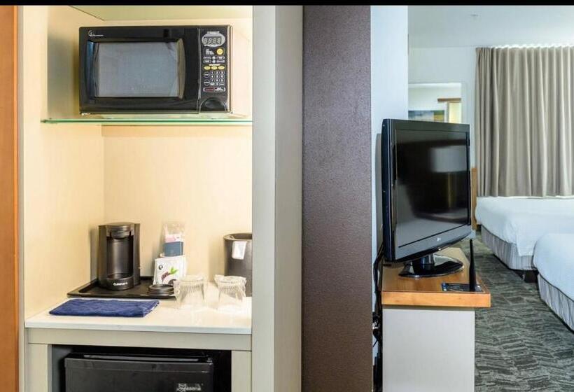 Студио Стандарт Кровать Кинг, Springhill Suites Houston Nasa/seabrook