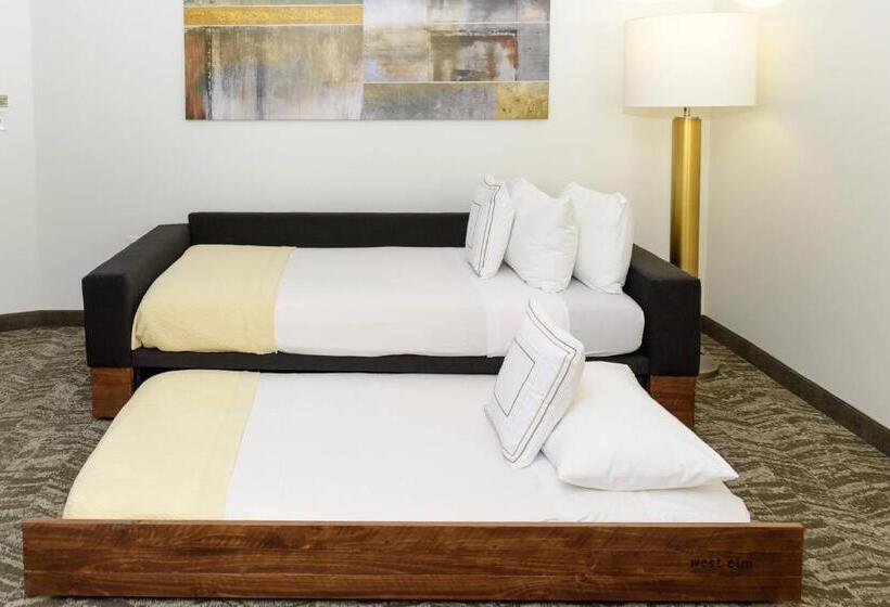Студия Стандарт, Springhill Suites Houston Nasa/seabrook