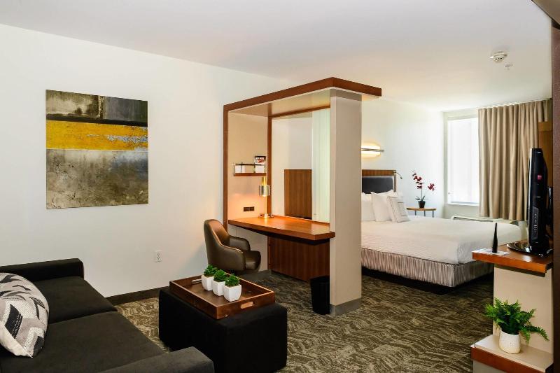 Студио Стандарт Кровать Кинг, Springhill Suites Houston Nasa/seabrook