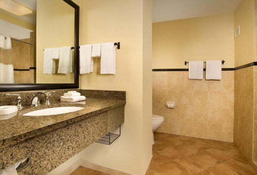 Люкс Superior, Drury Plaza Hotel San Antonio North Stone Oak