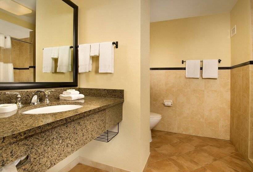 Номер Deluxe Адаптированный для Инвалидов, Drury Plaza Hotel San Antonio North Stone Oak
