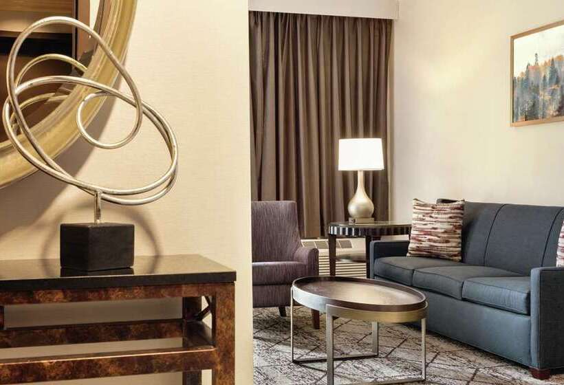 Estudi Estàndard Llit King, Home2 Suites By Hilton San Antonio Downtown  Riverwalk, Tx