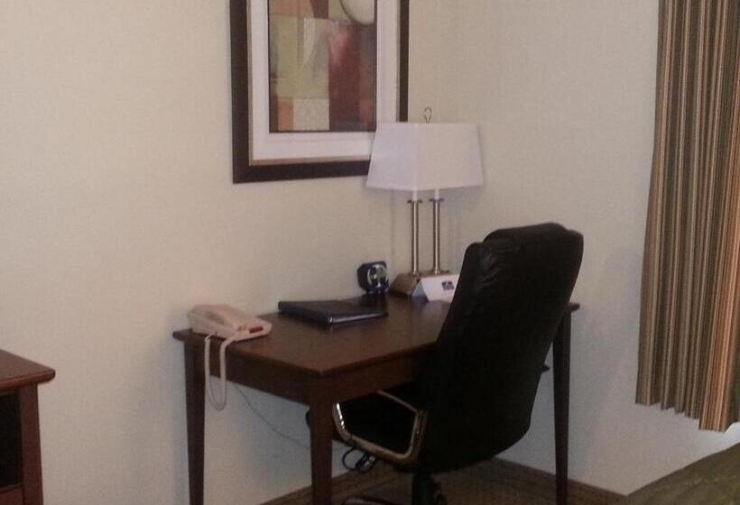 스탠다드 룸 킹사이즈 침대, Cobblestone Inn & Suites  Bloomfield