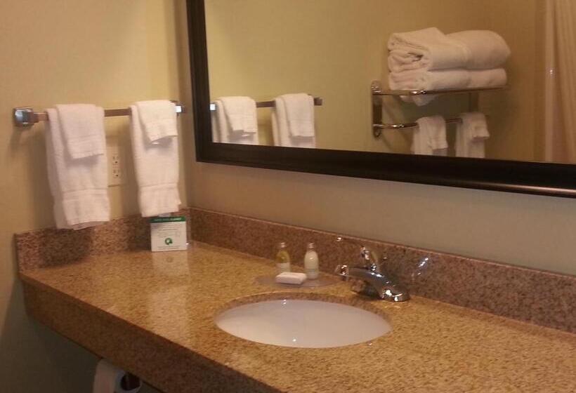 스위트 킹사이즈 침대, Cobblestone Inn & Suites  Bloomfield