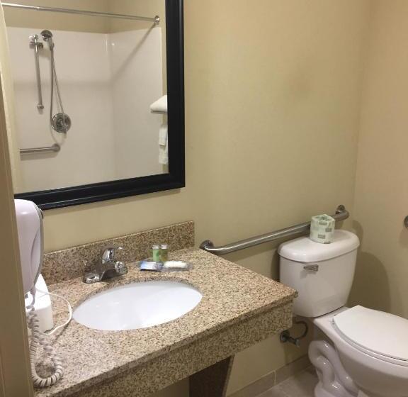 장애인을 위한 킹사이즈 침대 스탠다드 룸, Cobblestone Inn & Suites  Bloomfield