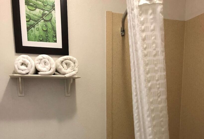 套房, Executive Inn & Suites Joaquin