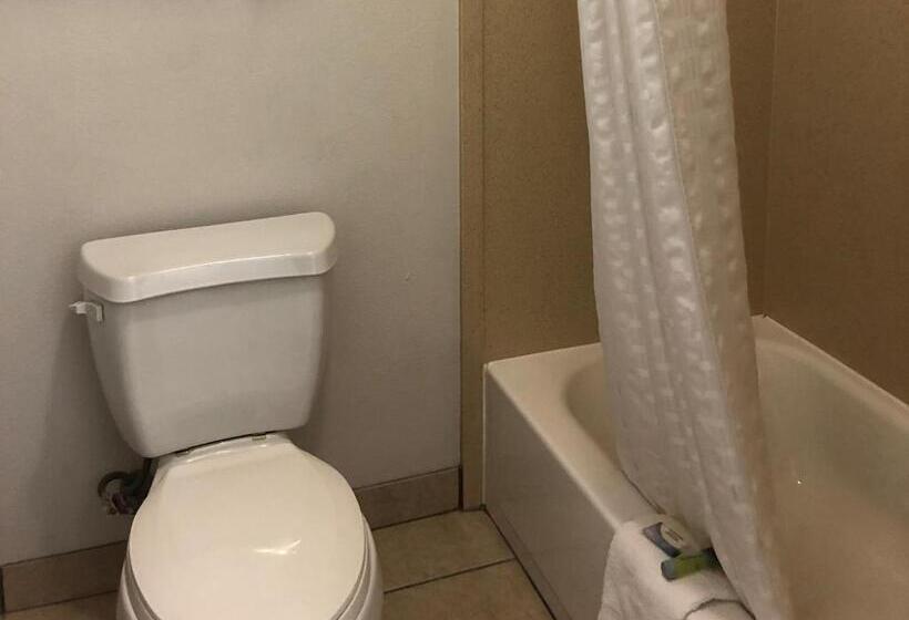 带大床的套房, Executive Inn & Suites Joaquin