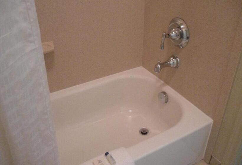 带大床的套房, Executive Inn & Suites Joaquin