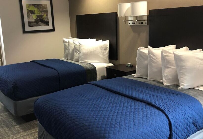 套房, Executive Inn & Suites Joaquin