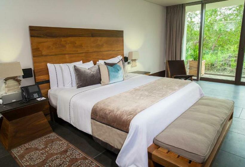 סוויטת ג'וניור דלוקס, Nizuc Resort & Spa